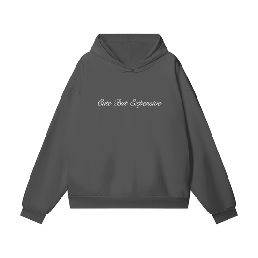 Cute But Expensive Heavyweight Embroidered Hidden Pocket Fleece Hoodie