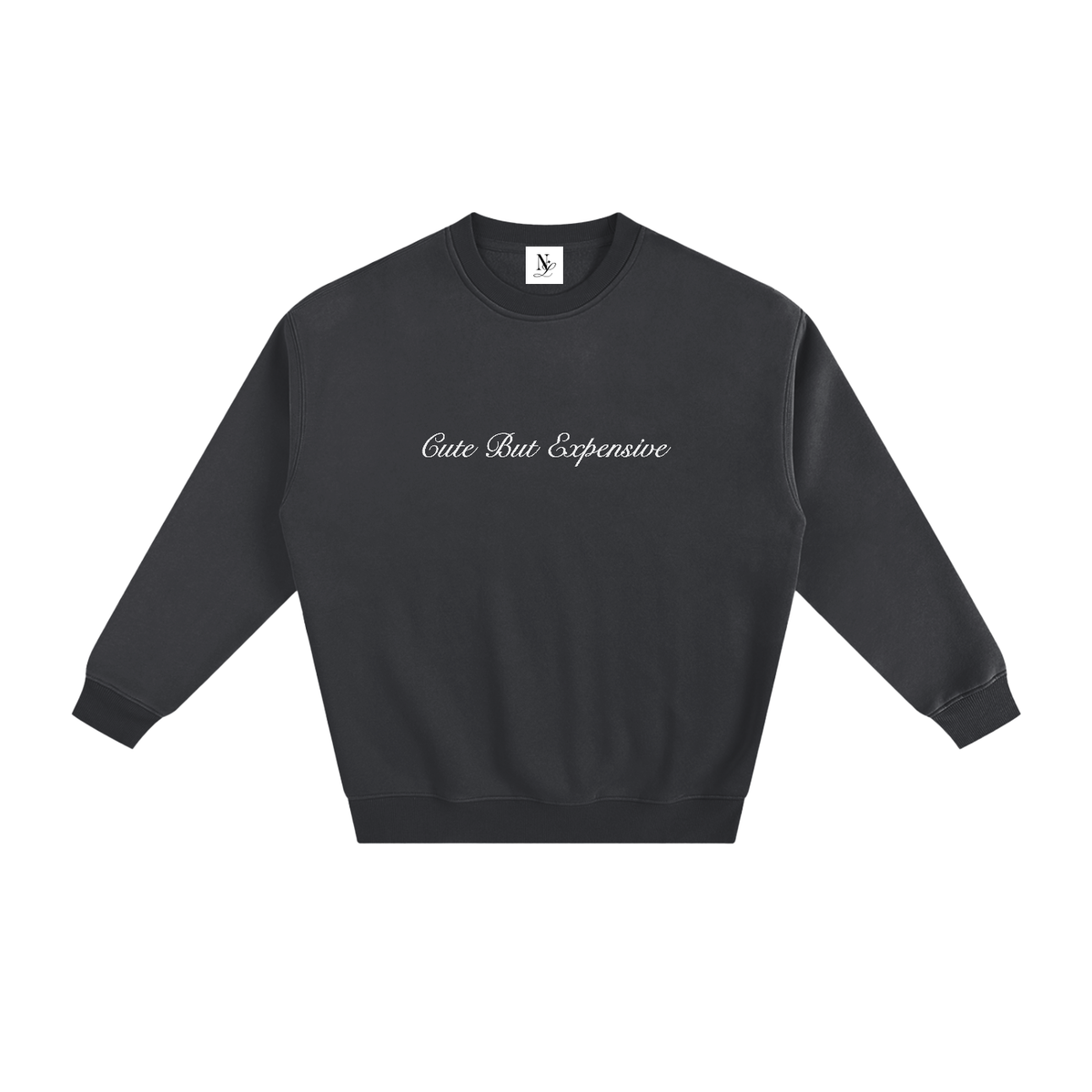 Cute But Expensive Embroidered Fleeced Sweatshirt