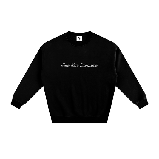 Cute But Expensive Embroidered Fleeced Sweatshirt