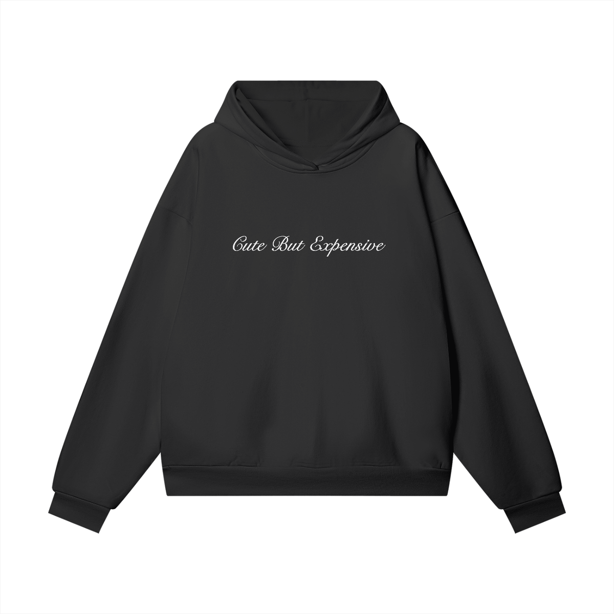 Cute But Expensive Heavyweight Embroidered Hidden Pocket Fleece Hoodie