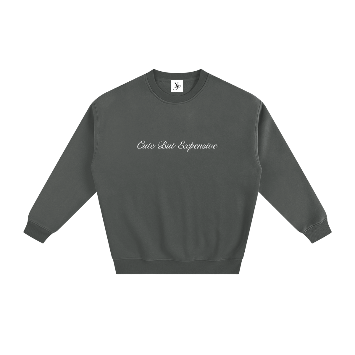 Cute But Expensive Embroidered Fleeced Sweatshirt